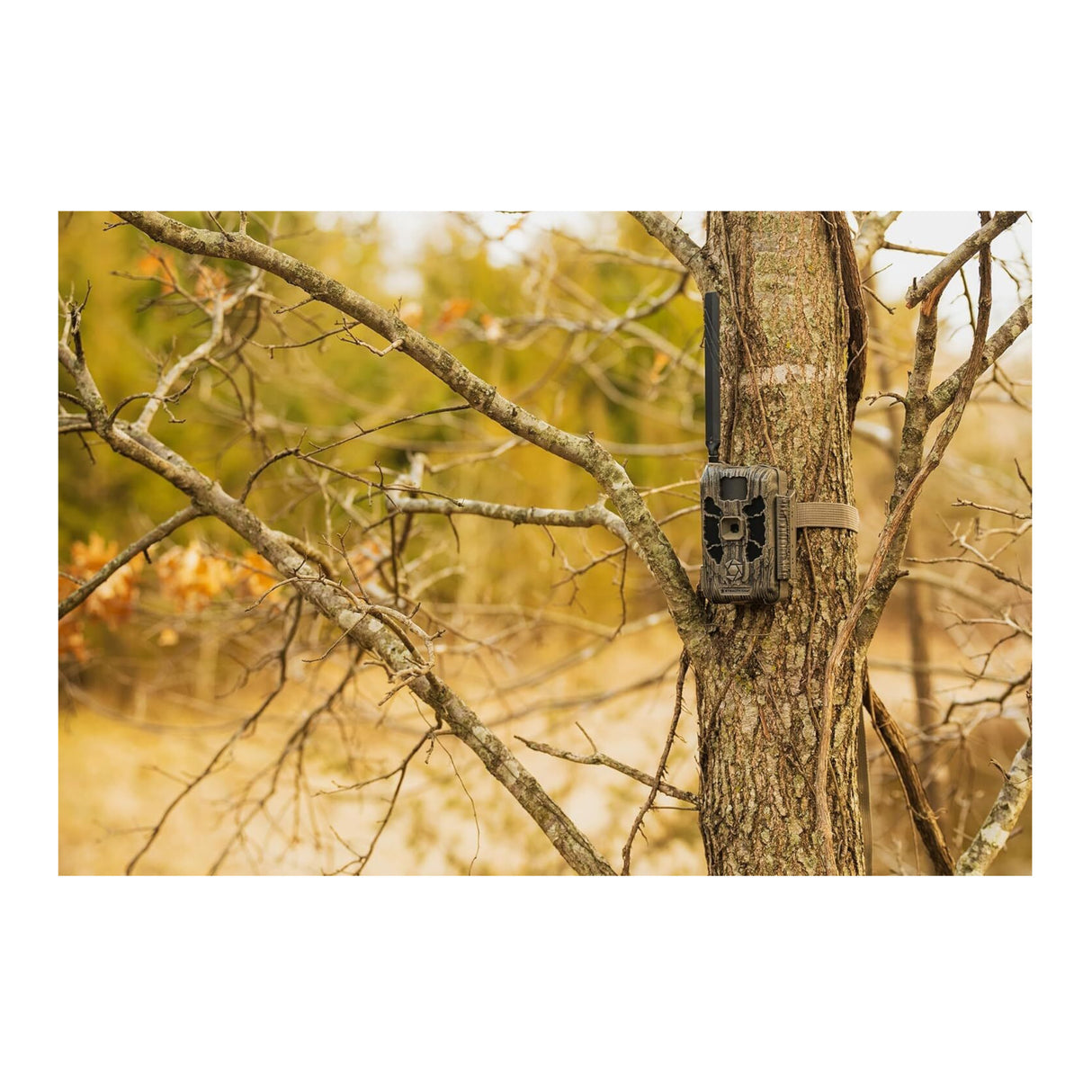 Stealth Cam Deceptor Dual Network Trail Camera (2 Pack) Bundle with 32GB Memory Card & Card Reader - 4