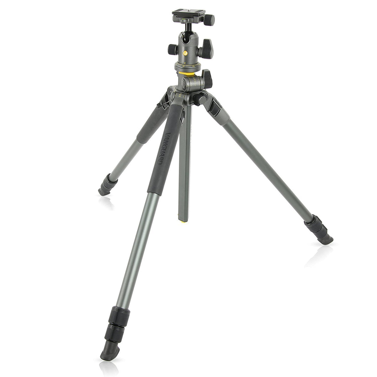 Vanguard Alta Pro 2+ 263AB 100 Aluminum Tripod w/ Alta BH-100 Ball Head