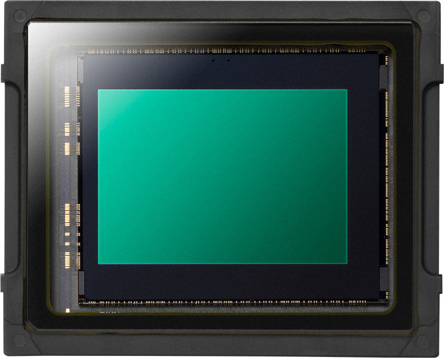 Panasonic LUMIX GH5s C4K Mirrorless Camera (Body Only)