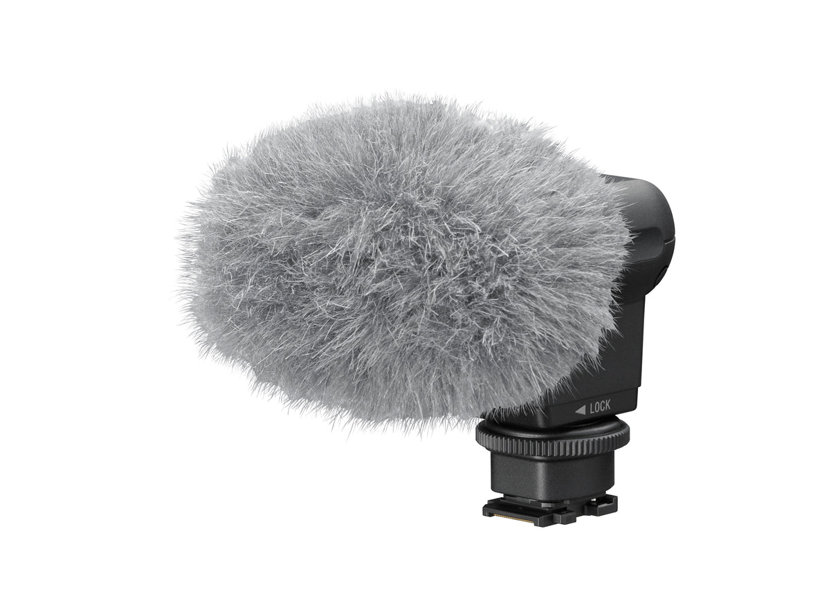 Sony Stereo Microphone