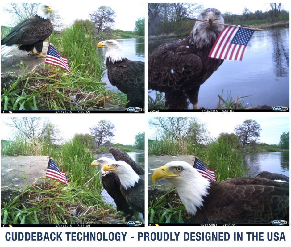 Cuddeback 20MP G Powerhouse Black Flash CuddeLink Trail Cam & Accessories (15x)