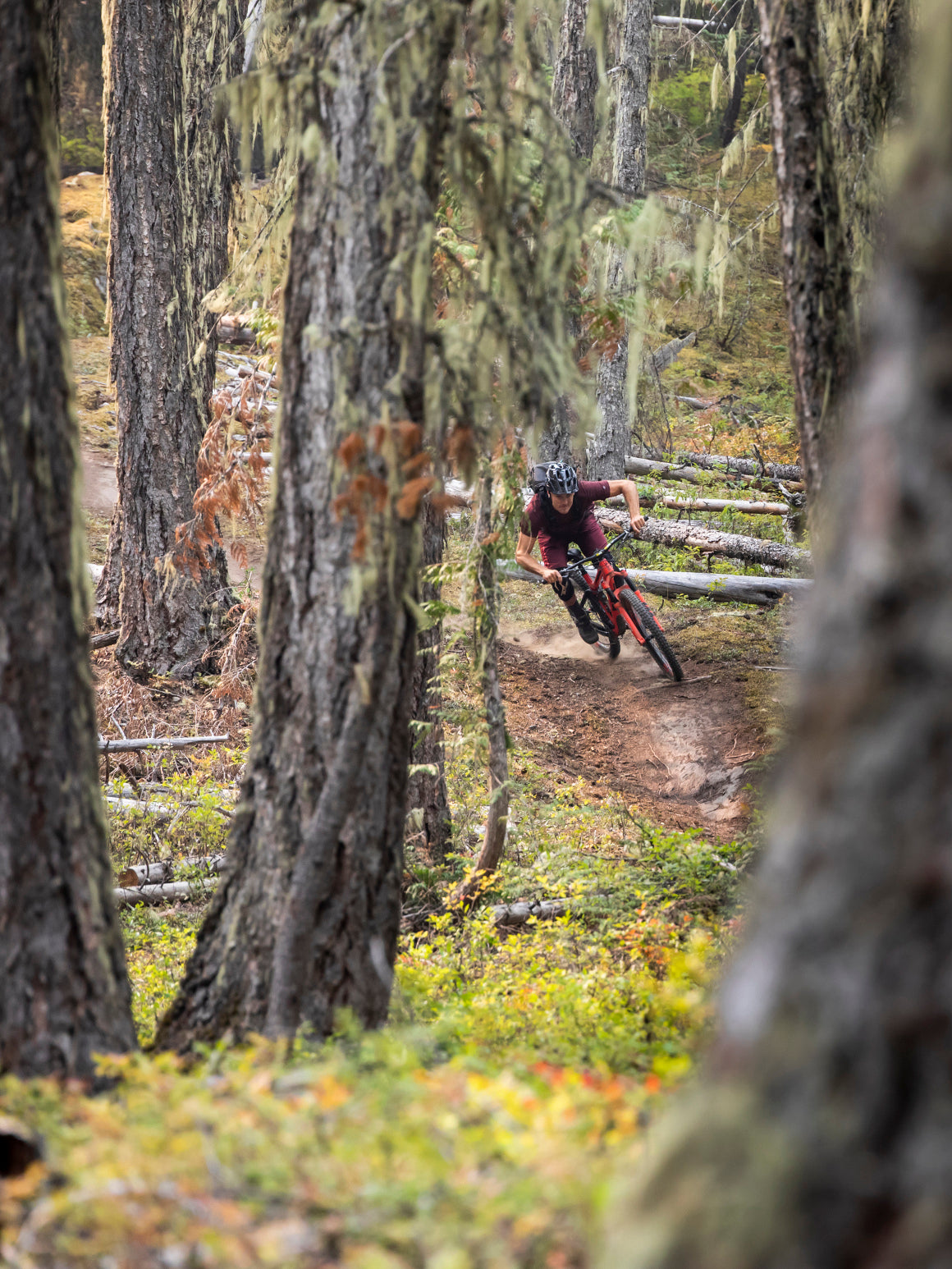 Sigma 70-200mm f/2.8 DG OS HSM Sport Lens for Nikon F-Mount