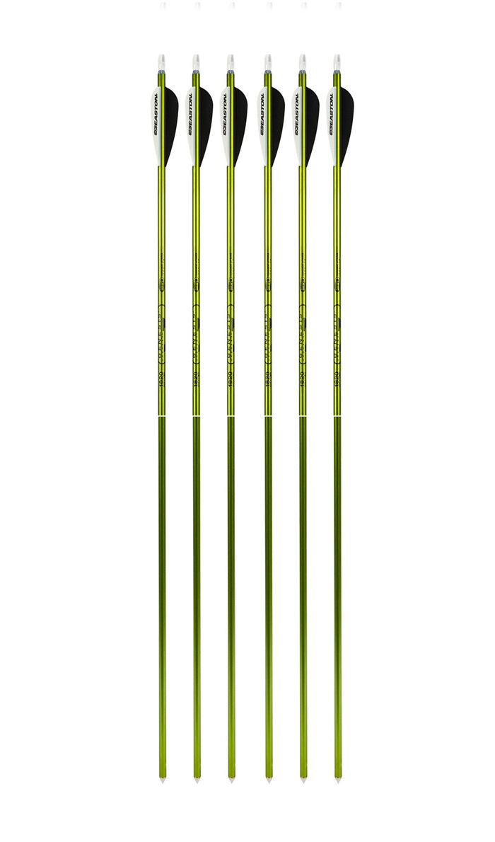 Genesis Archery Original Bow (Right Hand, Red) and Six Arrows Kit