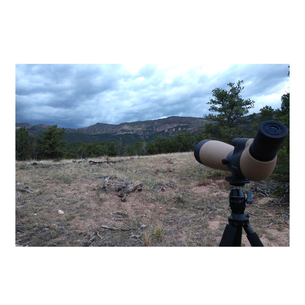 Athlon Optics Talos 20-60x80 Angled Spotting Scope (Tan)