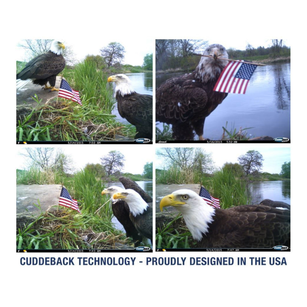 Cuddeback CuddeLink Power House IR 20MP Trail Camera (2-Pack) with Batteries and 16GB SD Card Bundle