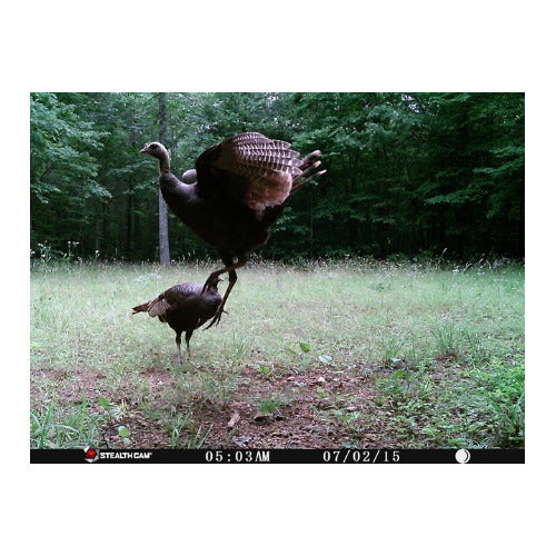 Stealth Cam PX14X P Series 10MP Digital Scouting Trail Camera