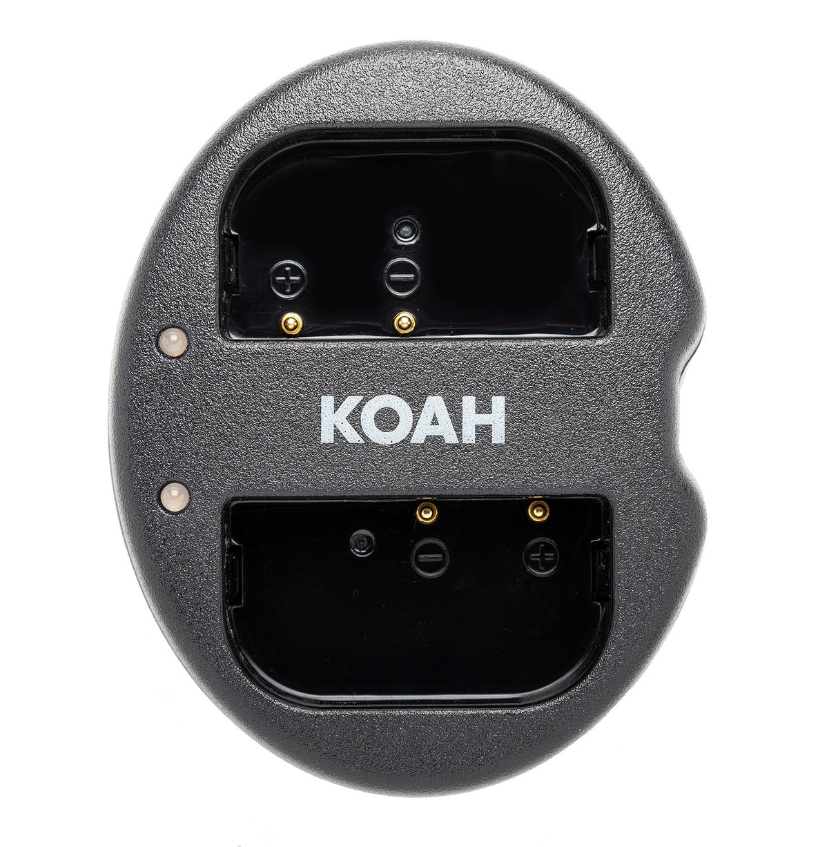 Koah 2000mAh Li-ion Battery for Panasonic DMW-BLF19 (2-pack) with Dual Charger