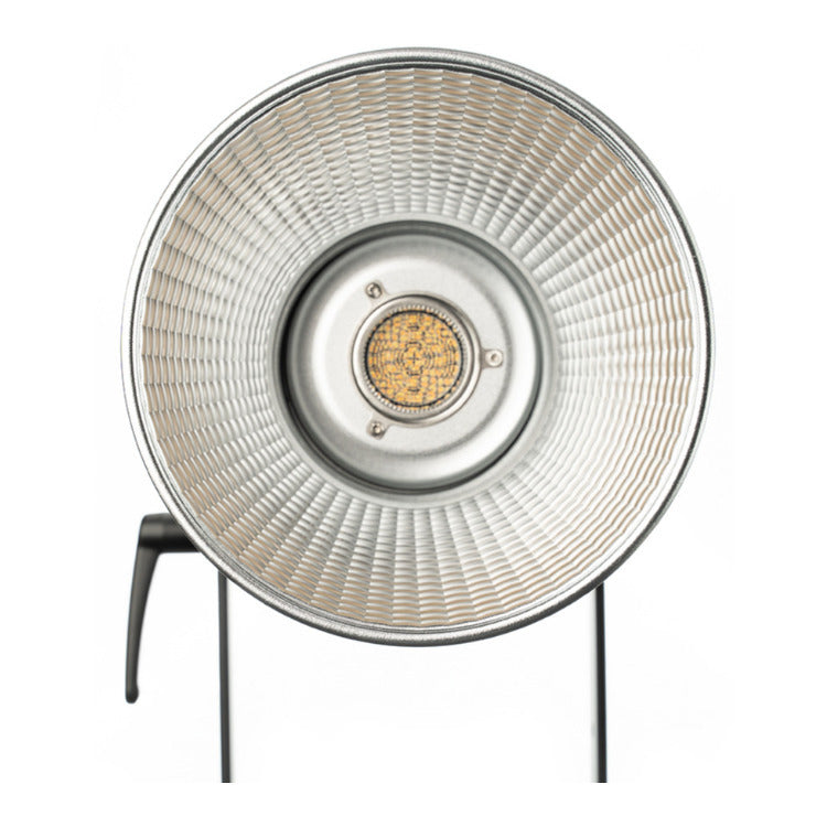 Aputure Light Storm 300x Bi-Color LED Light Kit with V-Mount Battery Plate