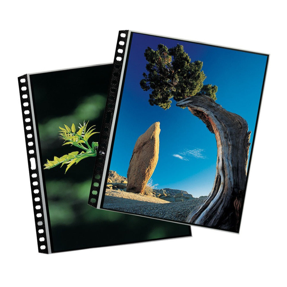 Itoya Art Profolio 14x17-in PolyGlass Page Refills for Binders (10 Sheets)