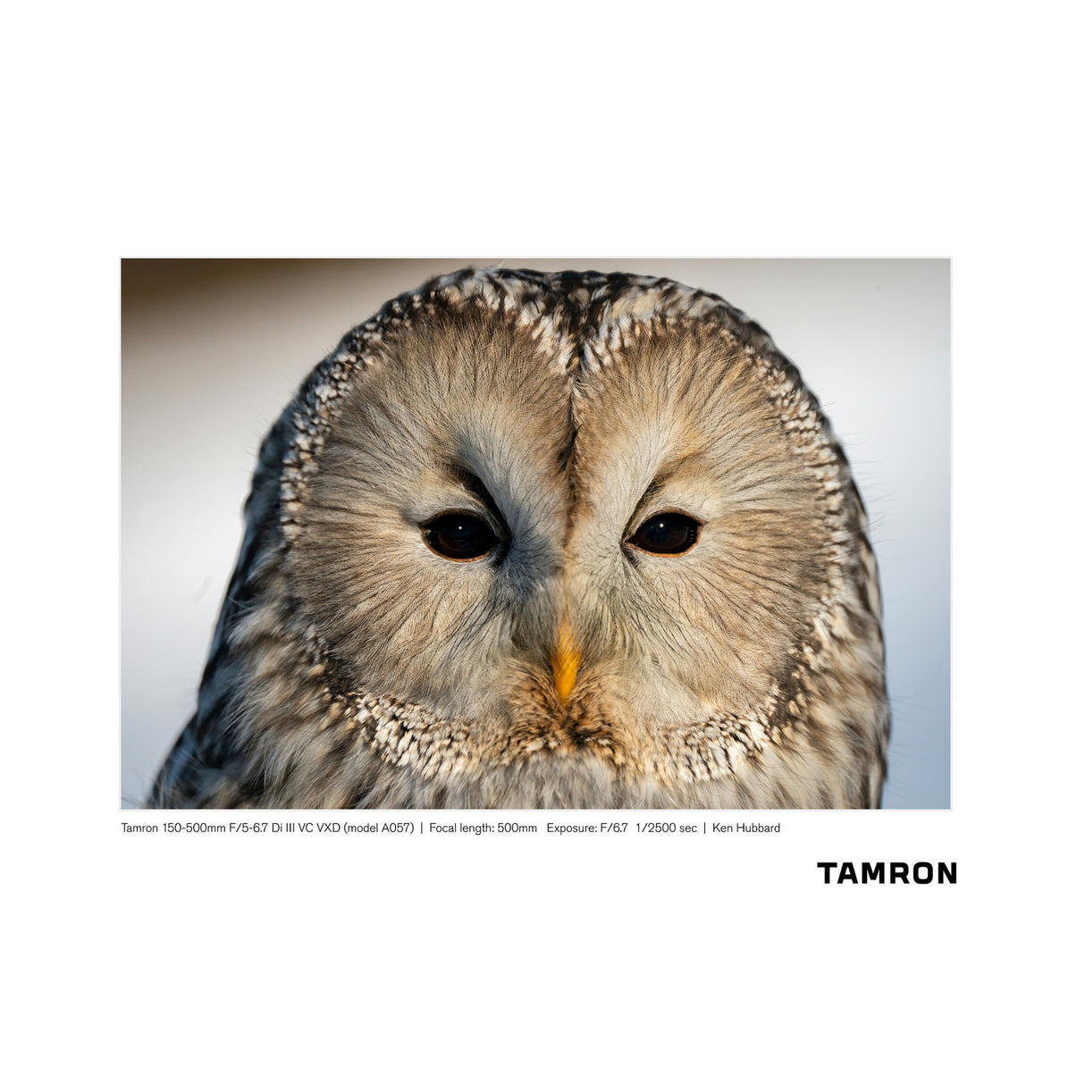 Tamron 150-500mm f/5-6.7 Di III VC VXD Lens for Sony Full-Frame Mirrorless