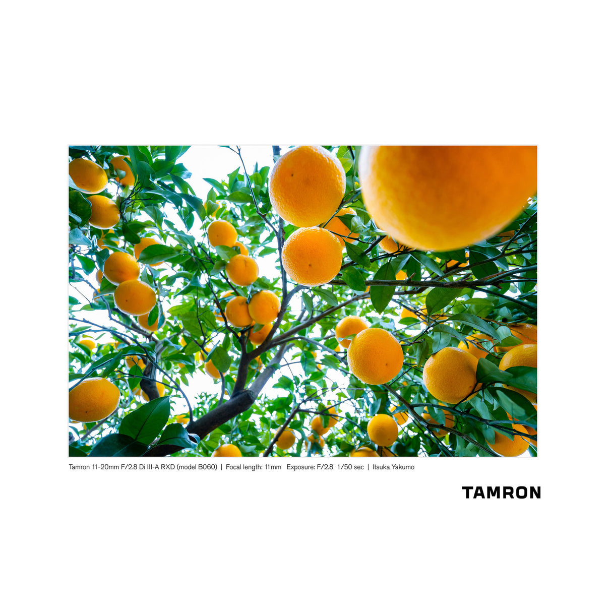 Tamron 11-20mm f/2.8 Di III-A RXD Lens for Sony APS-C Mirrorless Camera