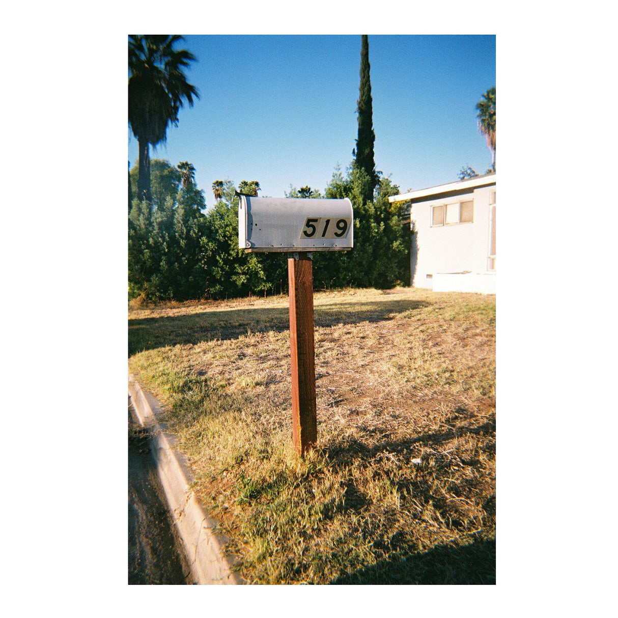 dubblefilm SHOW Reusable 35mm Film Camera with Flash (Pink)