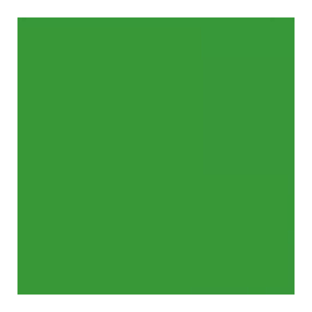 Savage Widetone Seamless Background Paper (#46 Tech Green, 107-Inch x 36-Feet)