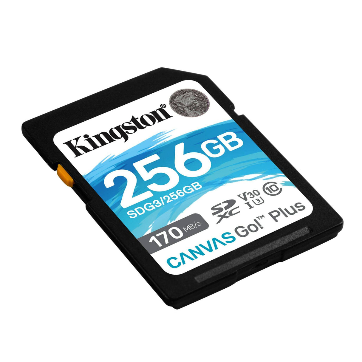 Kingston 256GB SDXC Canvas Go Plus 170MB/s Read Memory Card (SDG3/256GB)