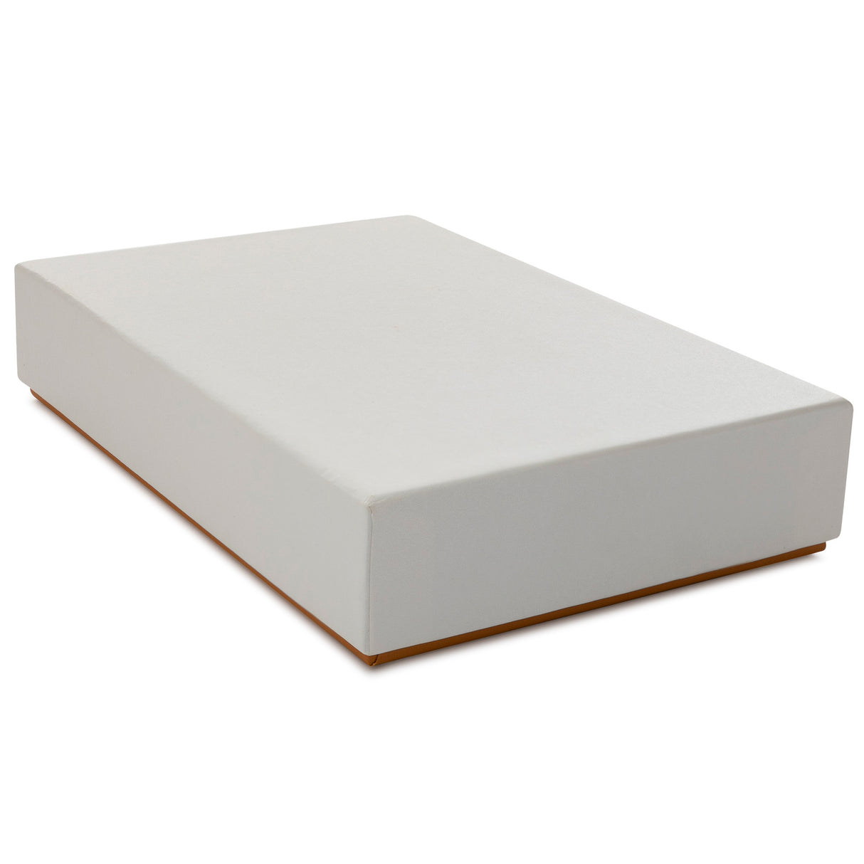 Focus Camera Polaroid Postcard Set (20-pack, 10 White/10 Mixed)