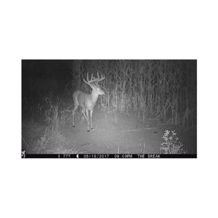 Browning Trail Cameras Strike Force Extreme with 32GB SD Card and Reader