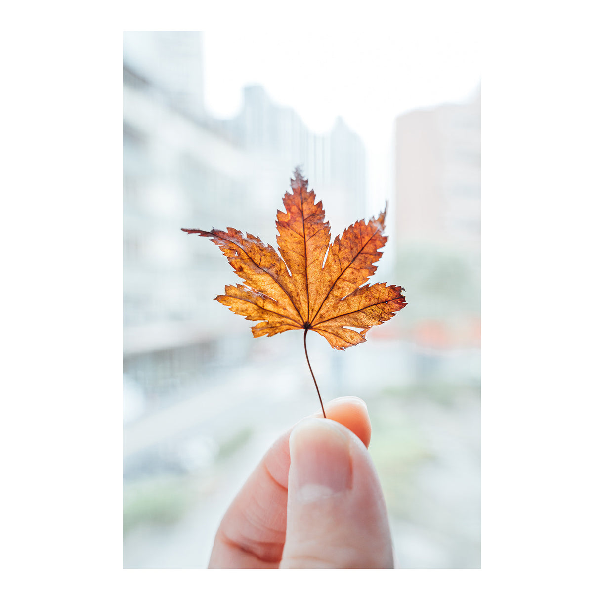 Nikon NIKKOR Z 28-75mm f/2.8 Lens with 64GB Card and Messenger Bag Bundle