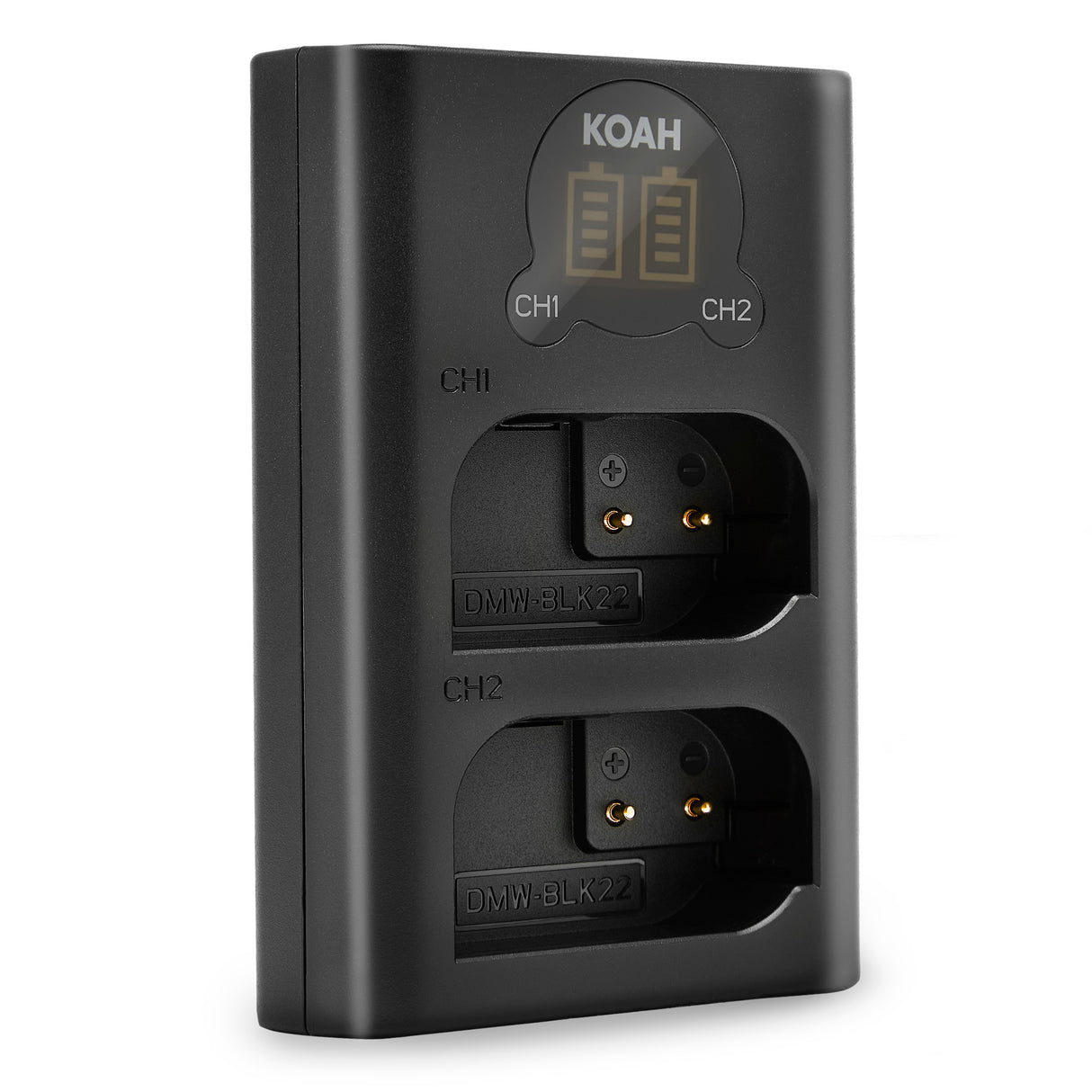 Panasonic LUMIX S5 4K Mirrorless Full-Frame L-Mount Camera (Body Only) with Camera Bag Bundle