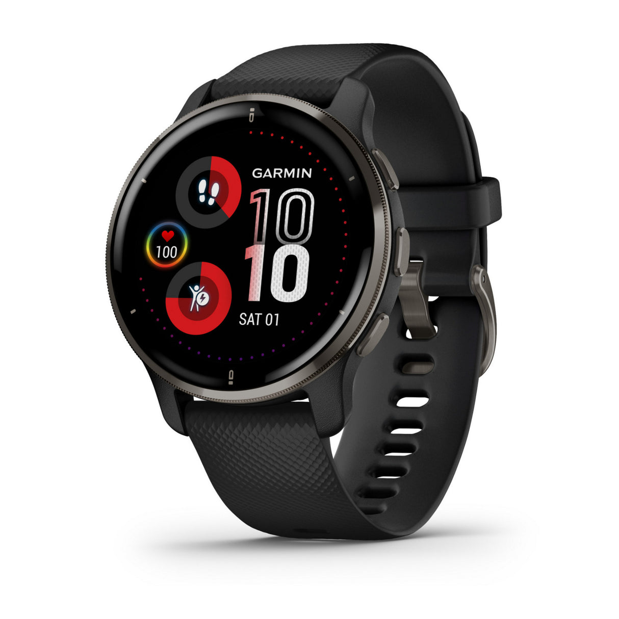 Garmin Venu 2 Plus Smartwatch (Black/Slate)