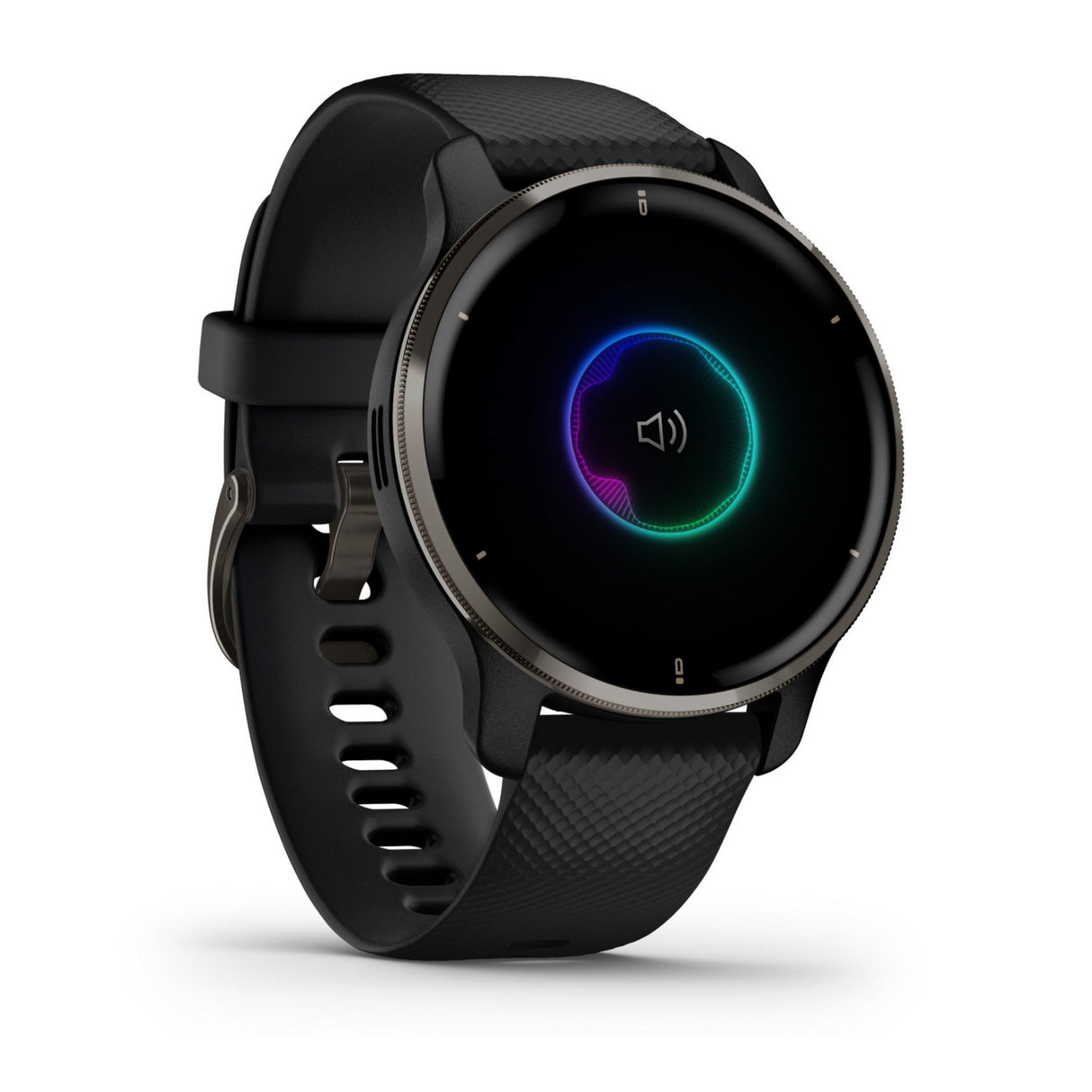 Garmin Venu 2 Plus Smartwatch (Black/Slate)