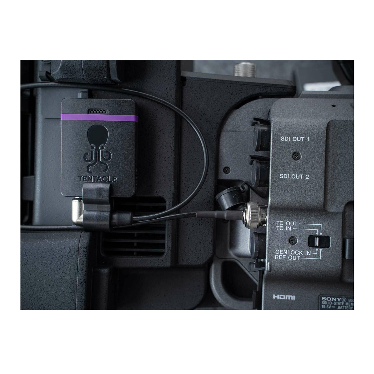 Tentacle Sync E MKII (Single Set)