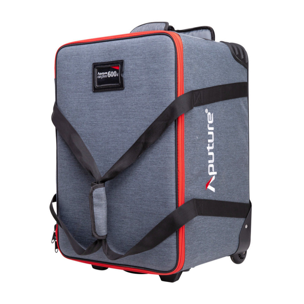 Aputure Light Storm 600d LED Light (V-Mount)