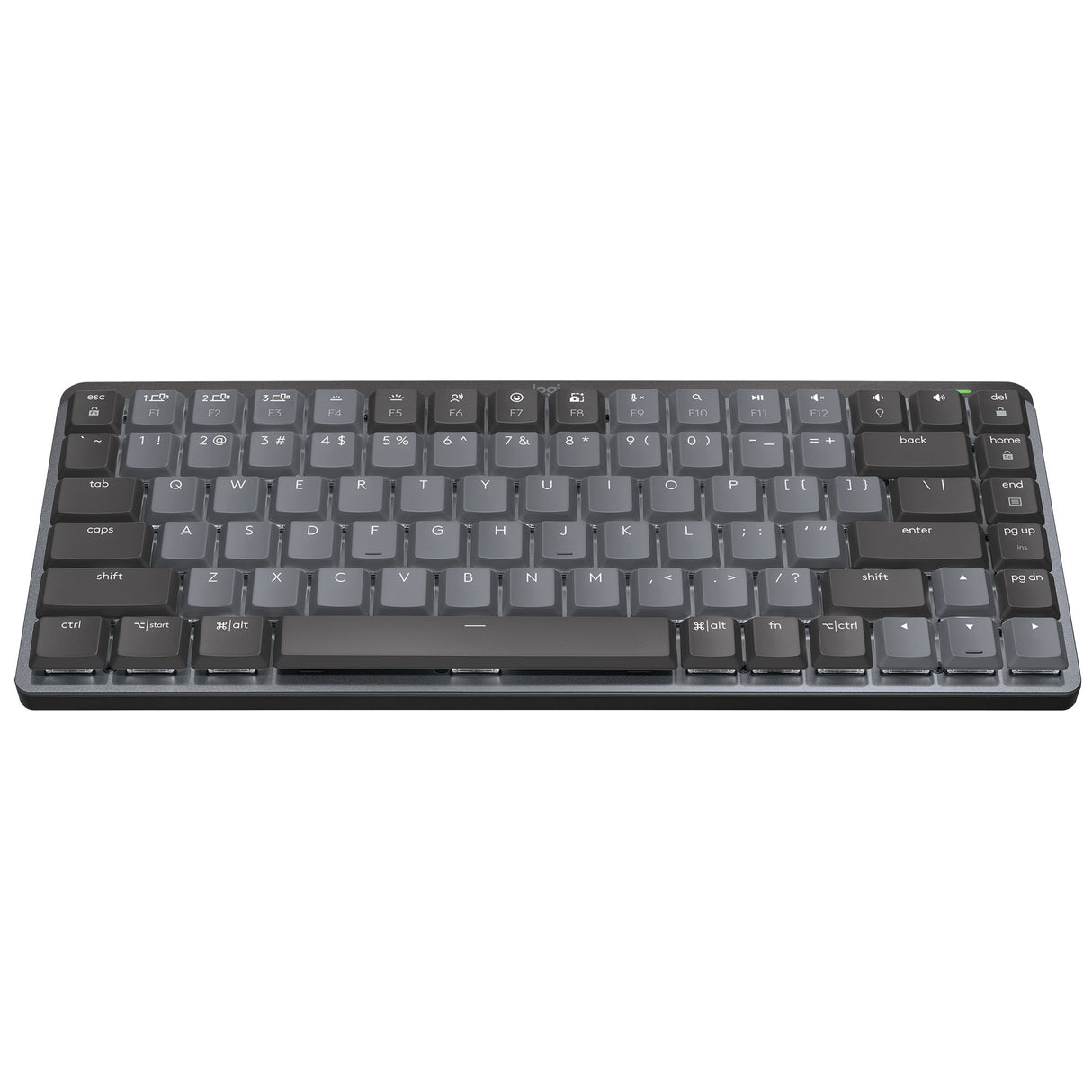Logitech MX Mechanical Mini Tactile Keyboard (Graphite) with Wireless Mouse (Black) and Palm Rest