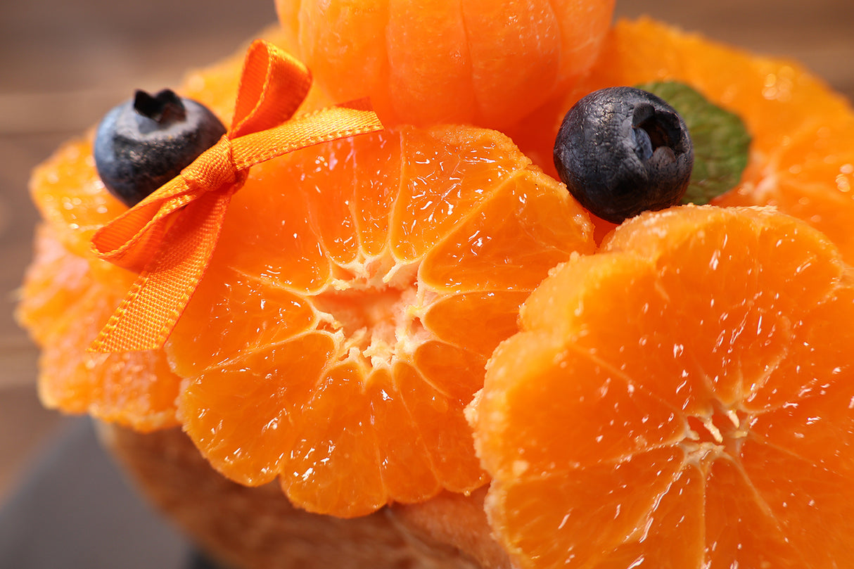 Canon RF-S 18-150mm f/3.5-6.3 IS STM Lens