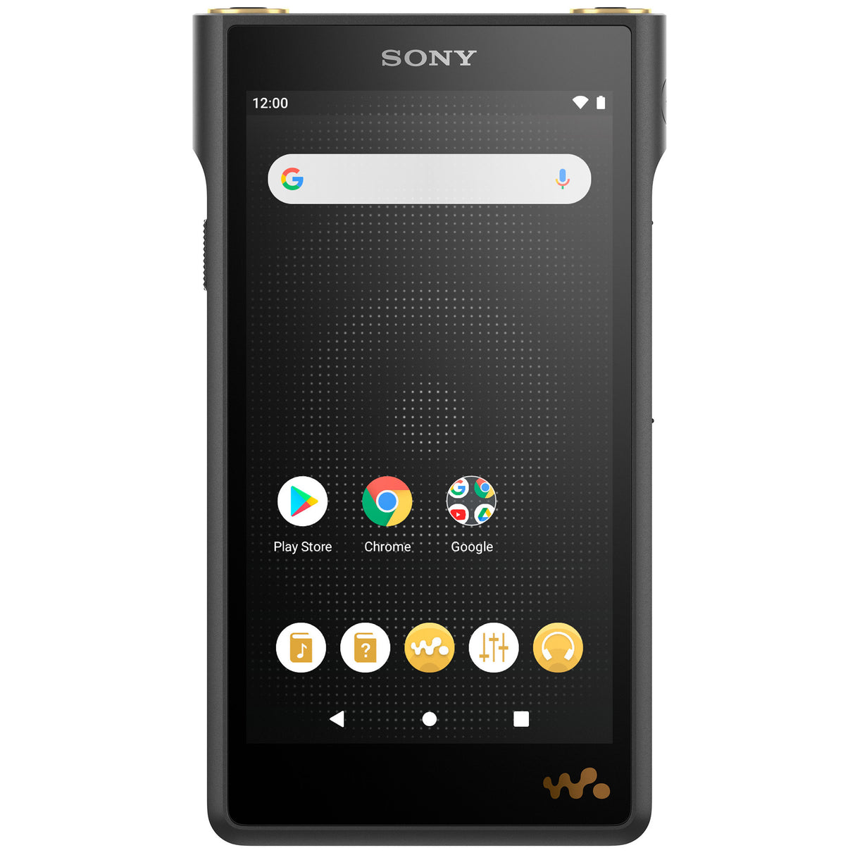 Sony NW-WM1AM2 Walkman Digital Music Player