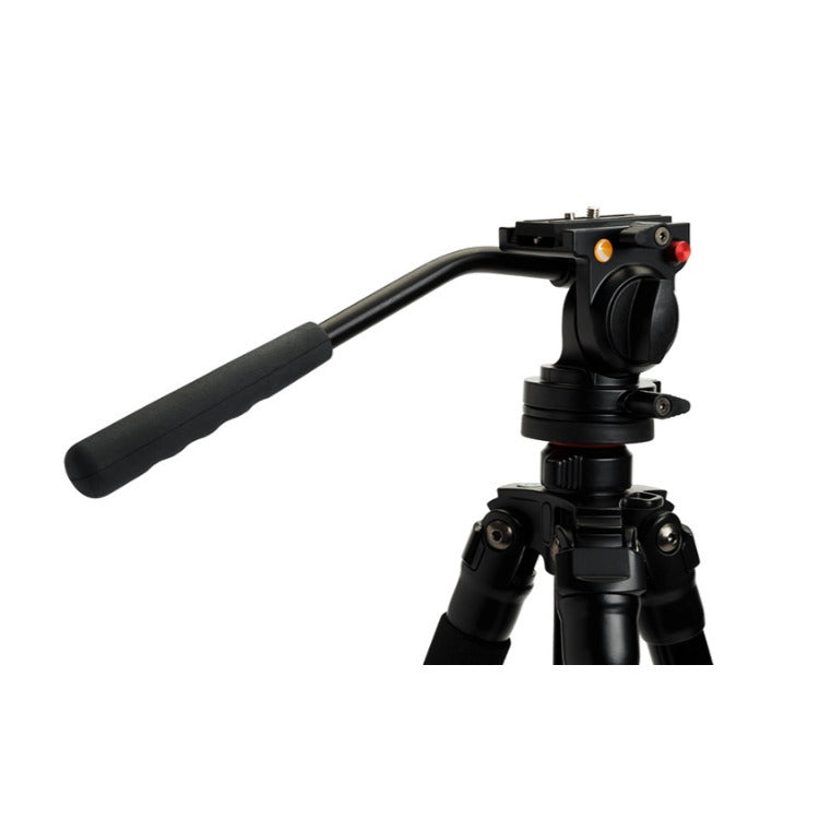 Celestron 4-Section Leg Regal Premium Tripod with Two-Way Pan Head