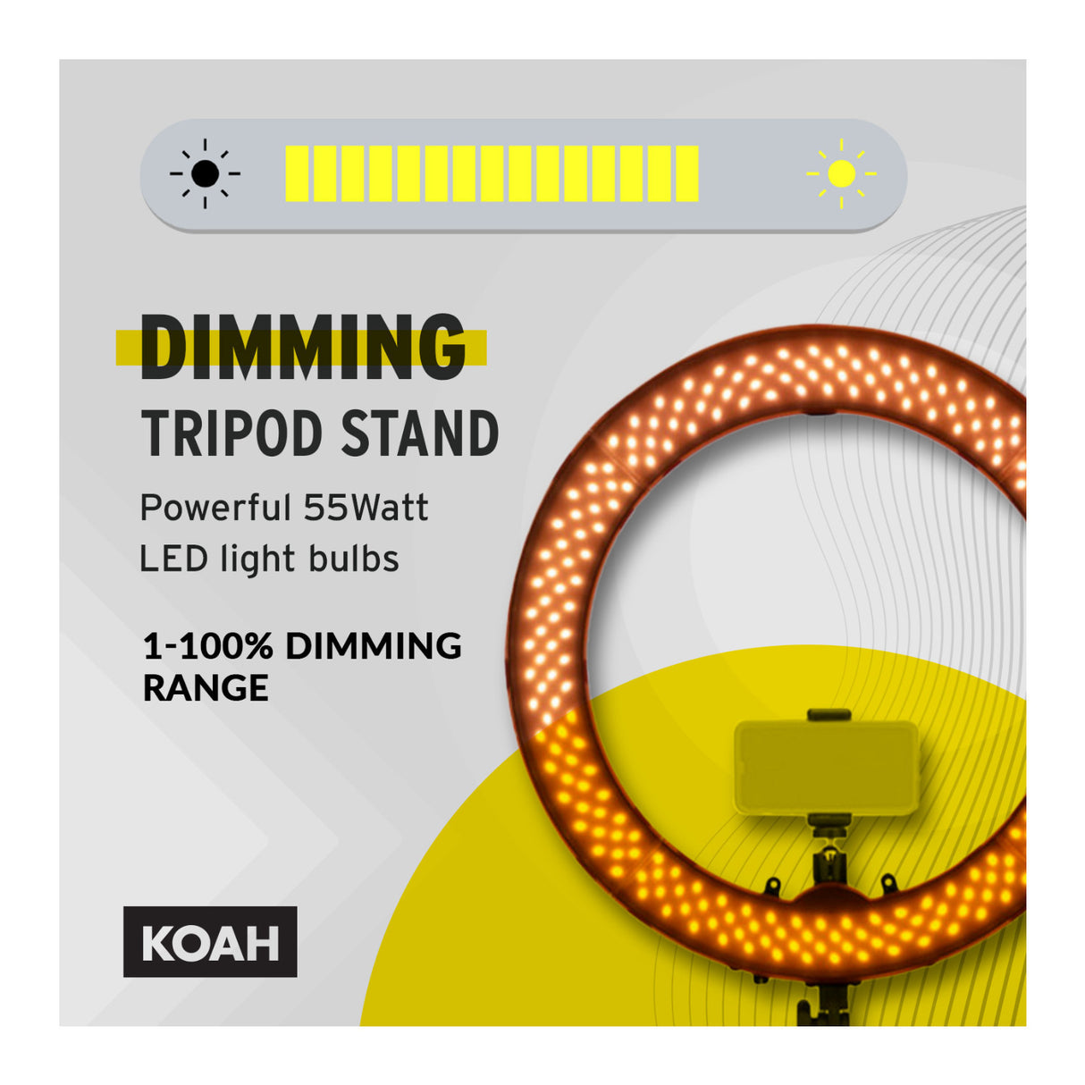 Koah SOL SPHERE 19-Inch 55W Ring Light Kit with Carrying Bag Bundle and Air Cushioned Stand