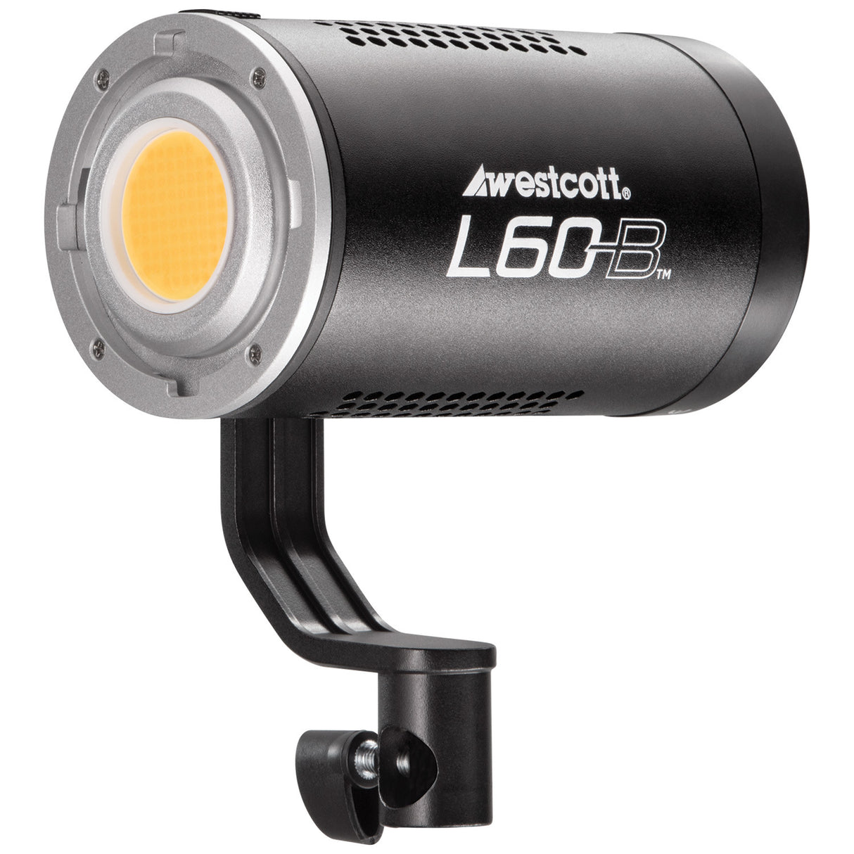 Westcott L60-B Bi-Color LED Video Light (60W)