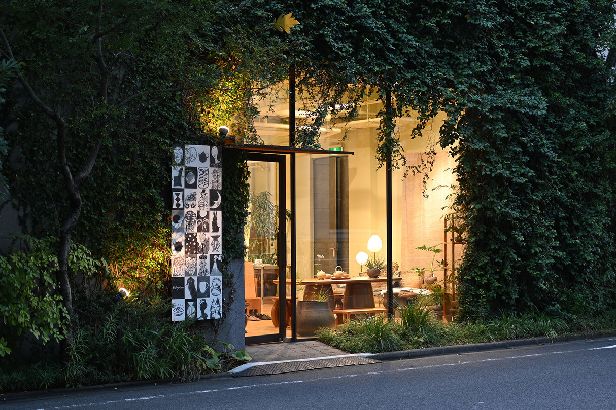 Nikon NIKKOR Z 40mm f/2 (SE) Lens