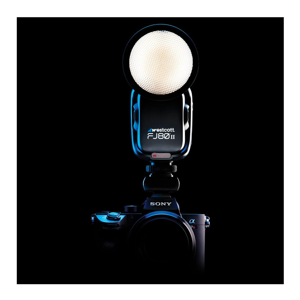 Westcott FJ80 II M Universal Touchscreen 80Ws Speedlight with Adapter with 7-Feet Umbrella Bundle