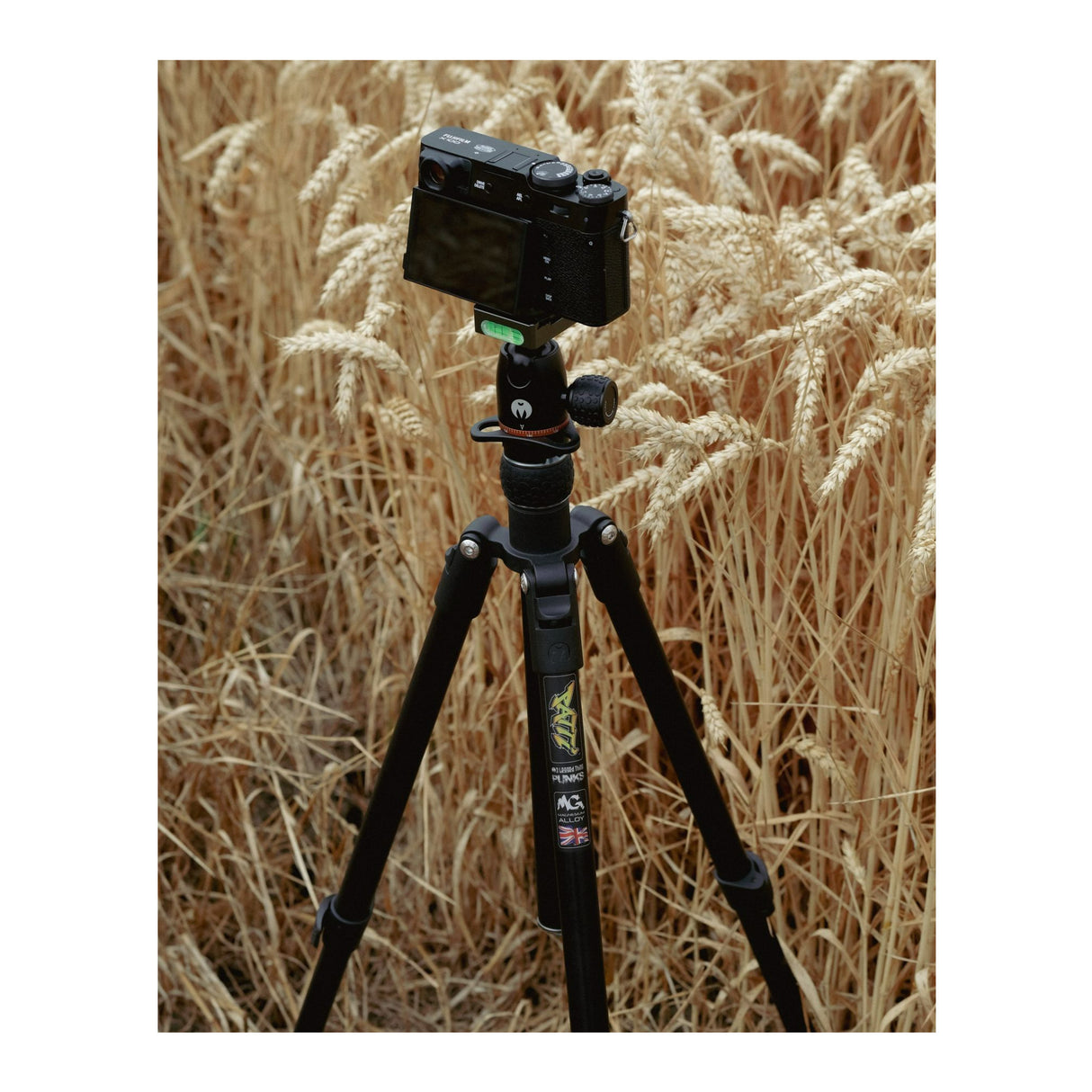 3 Legged Thing Punks Brian 2.0 Carbon Fibre, Stable, Compact, and Lightweight Tripod (Black)