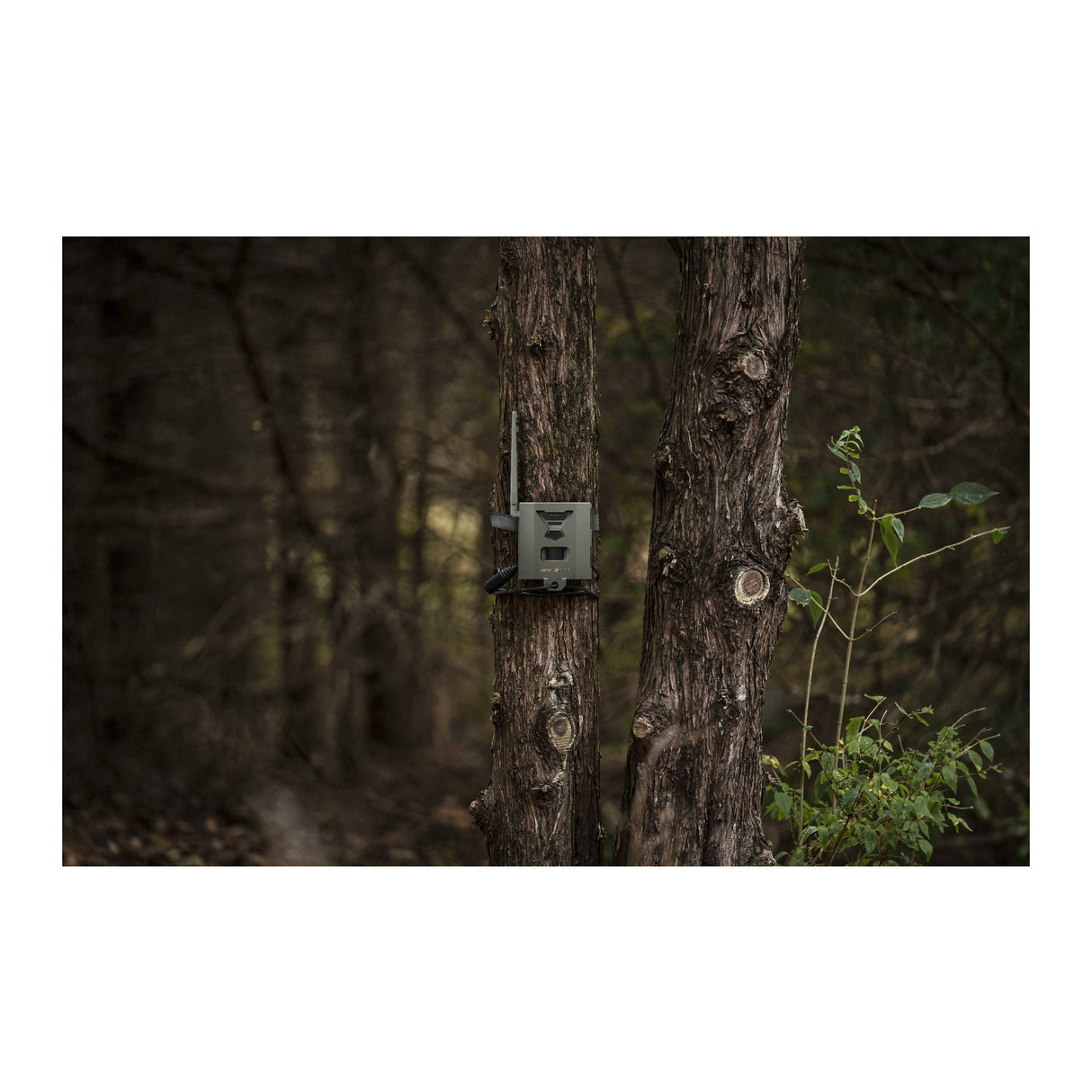 Spypoint SB-500 16-Guage Zinc-Coated Steel Flex Security Box Protection for Flex Spypoint Cameras