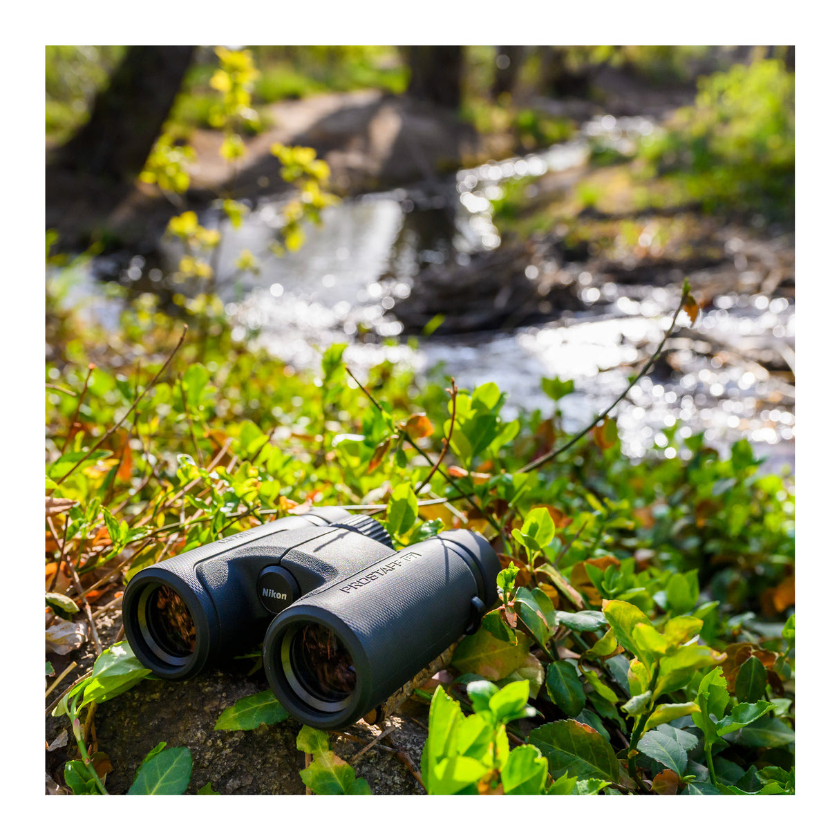 Nikon Prostaff P7 10x42 Binoculars with Hat and Accessory Bundle