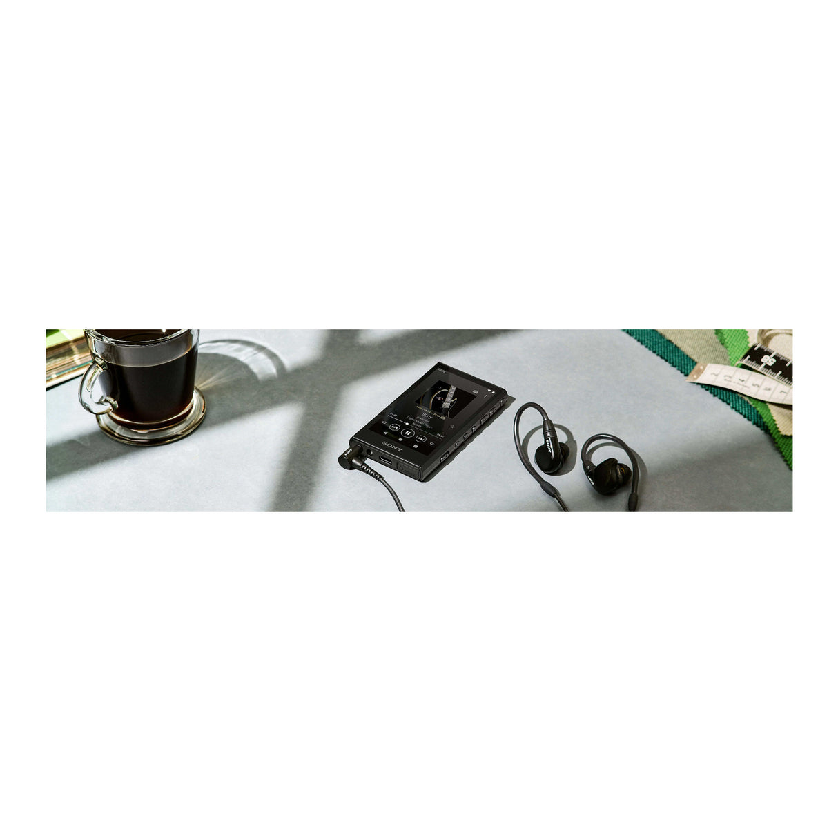 Sony NW-A306 Walkman A Series High-Resolution Digital Audio Player with 3.6 Display (Black)