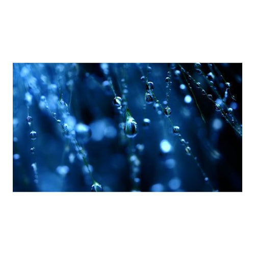 Sigma 105mm f/2.8 Art DG DN Macro Lens for Sony E-Mount