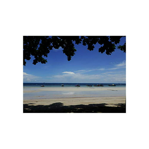 Ricoh WG-6 Digital Camera (Black)