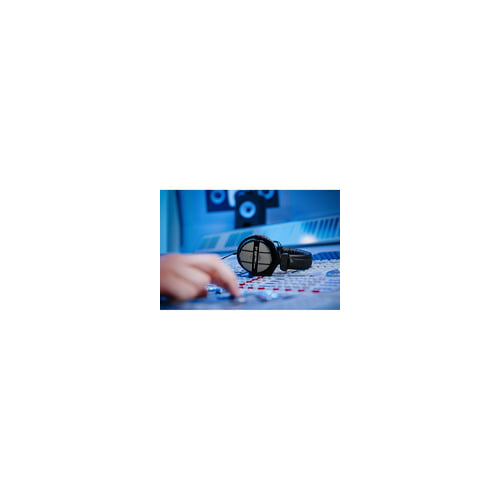 Beyerdynamic DT-990 Pro Acoustically Open Headphones (250 Ohms)