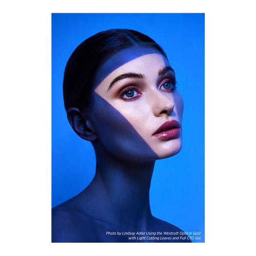 Westcott Optical Spot by Lindsay Adler (Profoto)