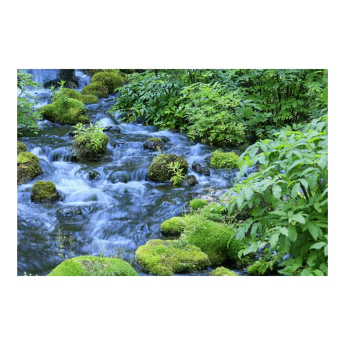 Canon RF 100-400mm f/5.6-8 IS USM Lens