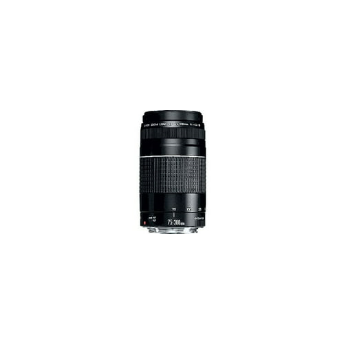 Canon EF 75-300mm f/4-5.6 III Telephoto Zoom Lens