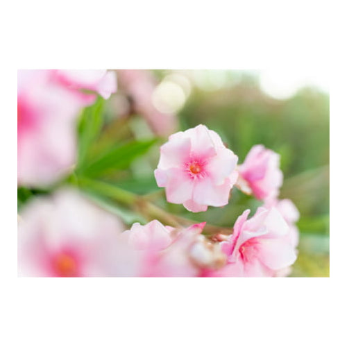 Tamron A058 35-150mm f/2-2.8 Di III VXD Mirrorless Zoom Lens for Sony E-Mount