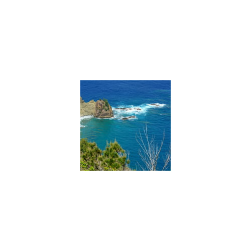 Tamron 50-400mm f/4.5-6.3 Di III VC VXD Lens for Sony E-Mount