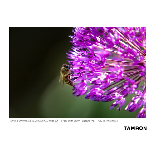 Tamron 18-300mm F/3.5-6.3 Di III-A VC VXD Lens (FUJIFILM X-Mount)