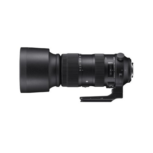 Sigma 60-600mm f/4.5-6.3 DG OS HSM Sports Lens for Nikon Bundle
