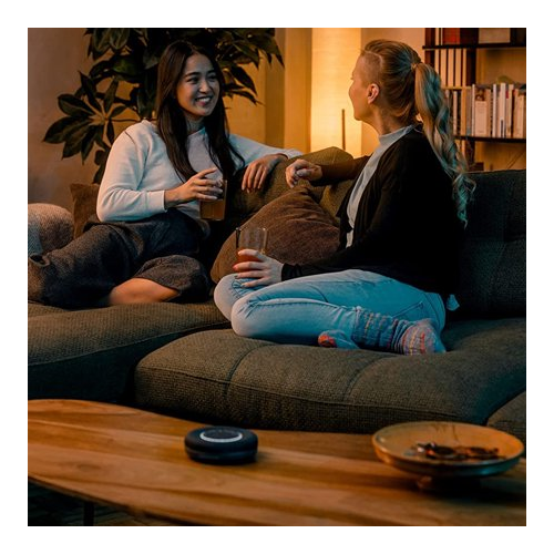 beyerdynamic SPACE Personal Speakerphone (Charcoal)