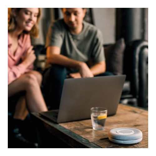 beyerdynamic SPACE Personal Speakerphone (Nordic Gray)